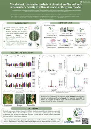 Poster IECM 2026.pdf
